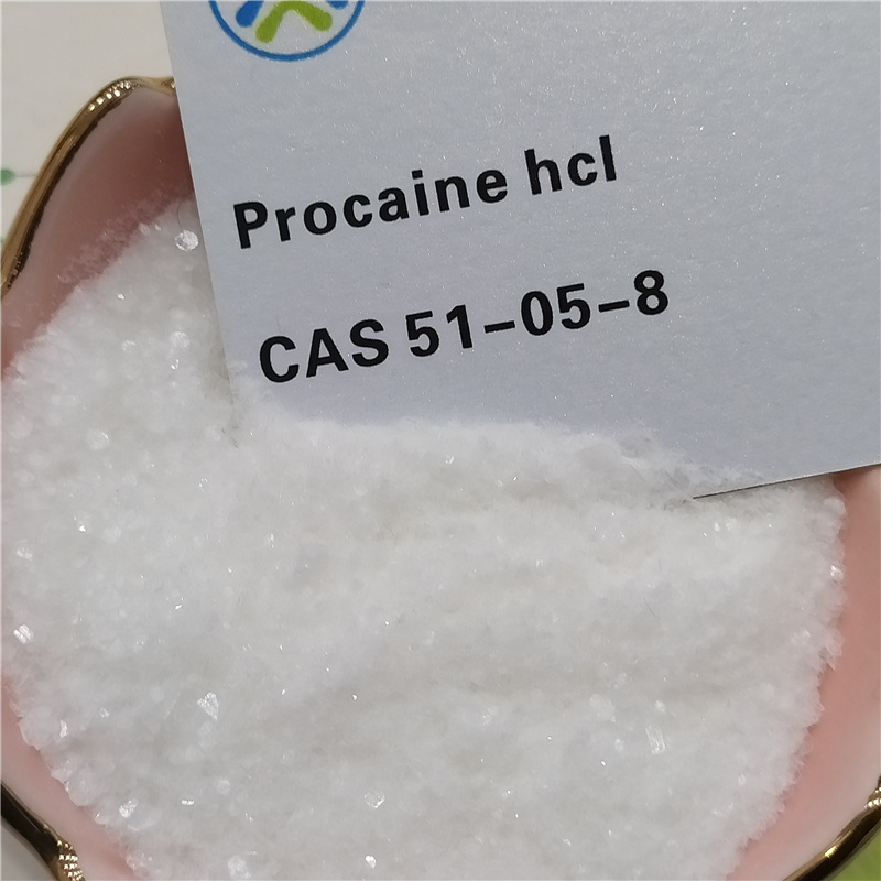 Fast Delivery Procaine Powder Procaine Hcl 51-05-8